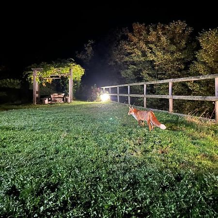 Baita “Oasi Della Volpe” Ca' Pavadri Esterno foto