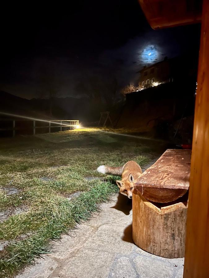 Baita “Oasi Della Volpe” Ca' Pavadri Esterno foto